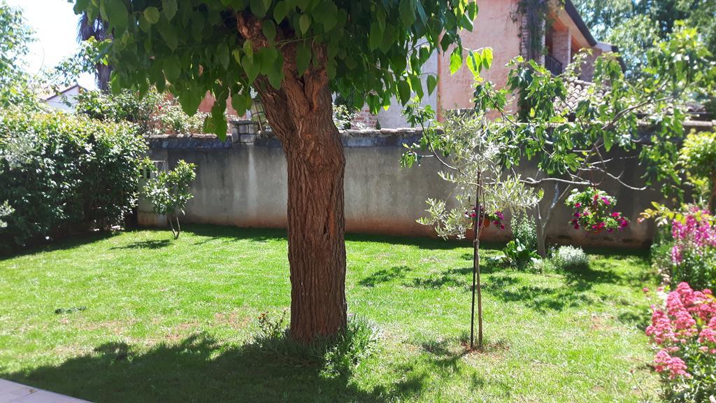 פורץ Apartment Ivan מראה חיצוני תמונה
